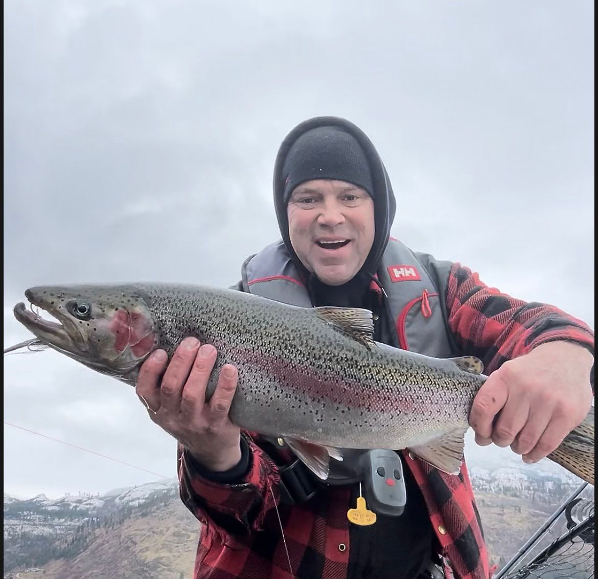 Rainbow trout on the deck of the boat