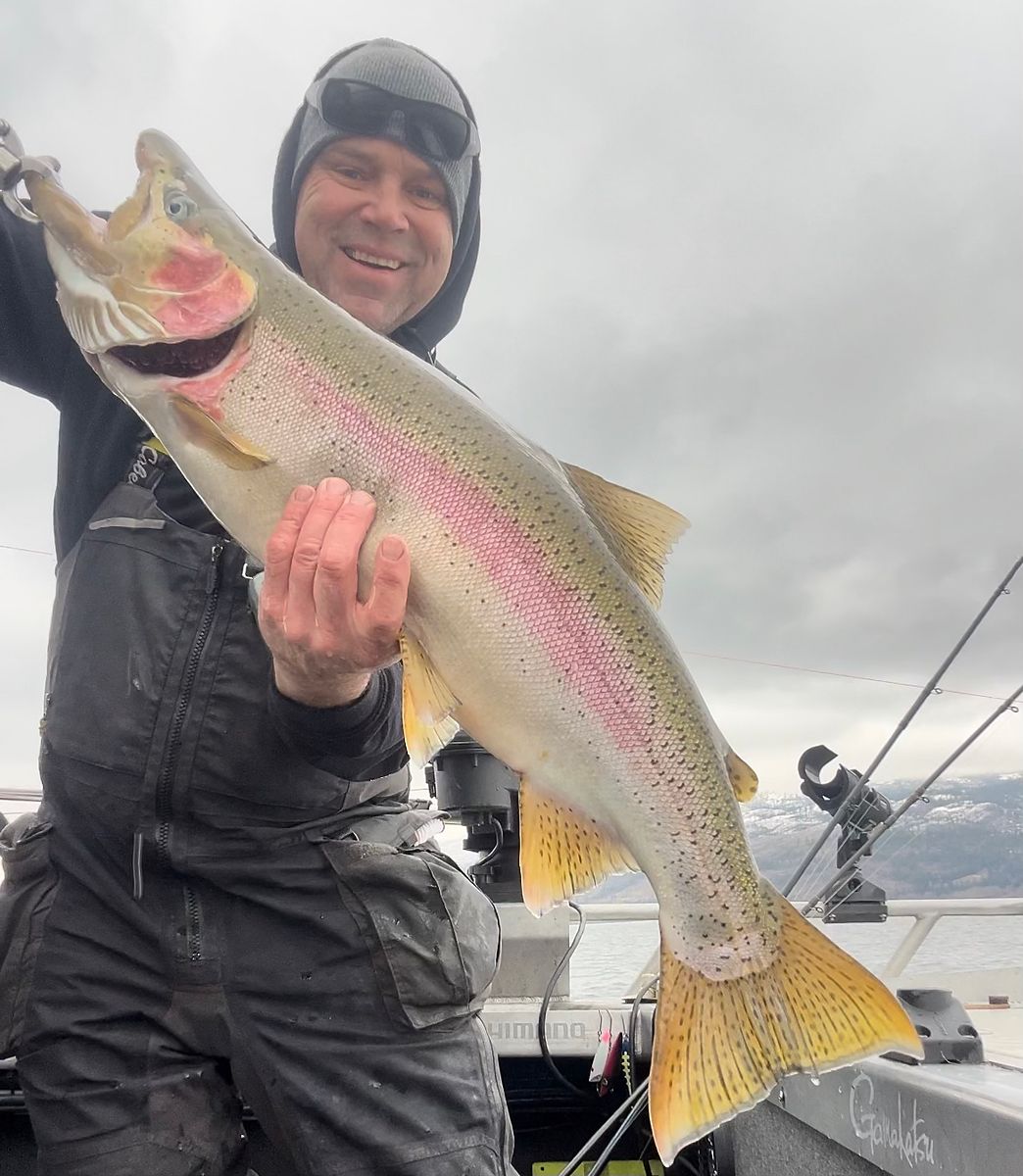 Angler holding a rainbow trout caught on a south Okanagan charter