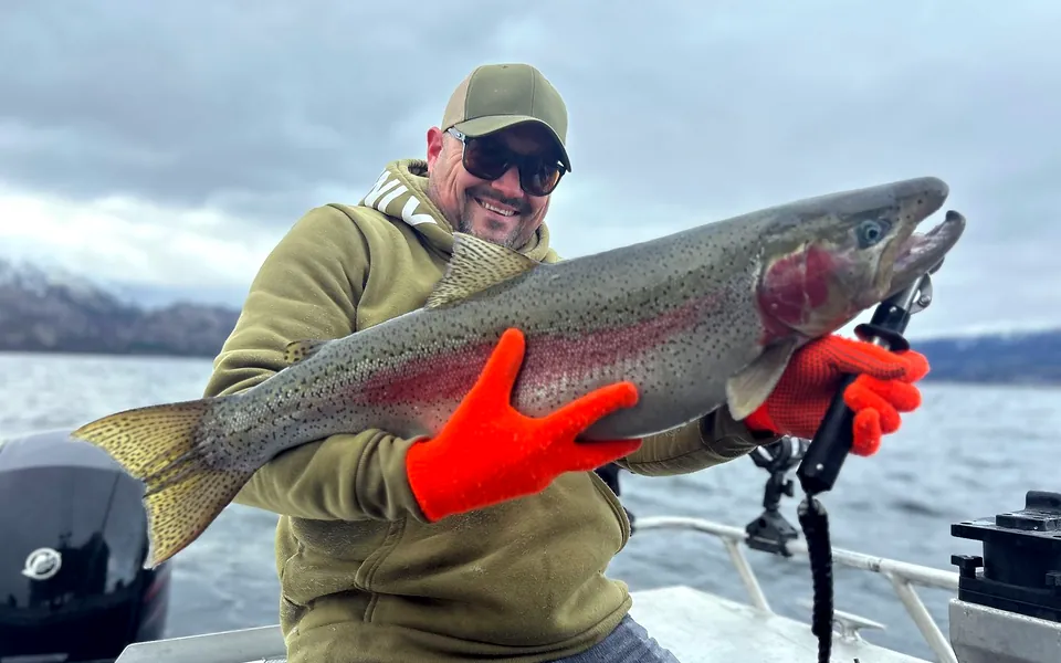 Photograph of a Rainbow trout